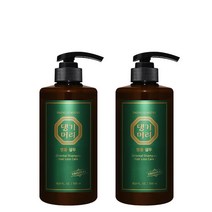 [댕기머리]명품 샴푸 500ml 2개, 단품