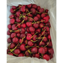 [고당도 생체리 1kg] 미국산 프리미엄 달달한 제철과일 제철 체리 최상급, 체리 1kg, 1개