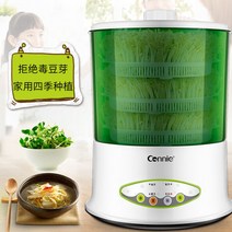 도자기 콩나물 재배기 시루 집에서 공나물 키우기, 녹색 2겹  누름판2 굵은 콩나물