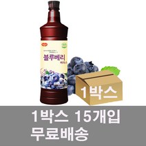 광야 블루베리베이스 970ml x 15개 1박스 23년 9월26일까지