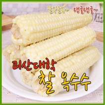 [수확후바로삶은] 괴산 못난이대학찰옥수수 32개(4개씩포장), 32개