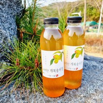 지리산 개복숭아청 500ml 자연숙성 발효액 원액 효소 수건식품