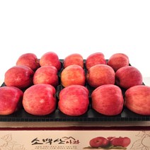 산지직송 당도보장 소백산 고랭지 영주 사과 홍로 정품, 1박스, 소백산 홍로 대과 5kg