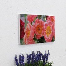 바보사랑 폼아크릴액자38CmX18Cm 풍수분홍작약꽃.꾸밈
