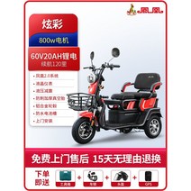 삼륜 성인용 전기 자전거 세발 전기자전거, 옵션12, 48V