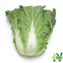 사라상회 배추 (2등) 3포기 (10kg)