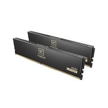 팀 그룹 T전문가 오버클럭 10L DDR5 32GB 16GB 2p 6400MHzPC551200 CL40 데스크톱 메모리 모듈 램 CTCED532G6400HC40BDC01, 32GB (16GBx2)_DDR5-6400MHz CL4