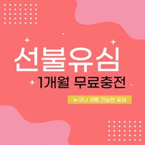 선불폰 선불유심 미납자개통 연체자개통 신용불량자개통 무료충전 당일개통 아띠모바일, [LG] 11G(무료충전), 전화(1522-2527)로 상담 후 개통신청