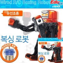 무선 축구로봇 초등남아선물 로보트 초등학생생일선물 남자어린이선물 로보트장난감