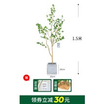 대형 초록 식물 동백 나무 인조 조형 실내 인테리어 바이오닉 유칼립투스, 4 1.5무시멘트색 사각수조