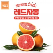 고씨네 프리미엄 자몽 3kg 골드자몽 레드자몽 자몽청자몽 자몽효능 자몽청 메로골드자몽 청자몽 자몽에이드 자몽차 자몽주스 자몽즙 레드자몽, 1, 본상품선택
