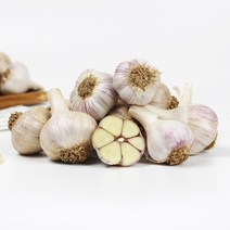 (23년산) 서산농부의 서산 6쪽마늘 3cm-3.5cm(한접/100통) 육쪽마늘 한지형마늘 서산마늘 토종마늘 햇마늘, 100개