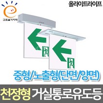 올라이트라이프 LED중형 노출 천정형 거실통로 유도등 고효율, 양면 피난구 한방향