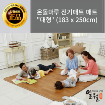 일월 초절전 온돌마루 전기매트 대형 (250x183)