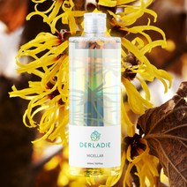 더레이디 미셀라 위치하젤 피지케어 클렌징 워터