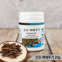 브랜드없음 열풍건조 벼메뚜기 20g 소동물 앵무새 고단백질 간식, 단품없음