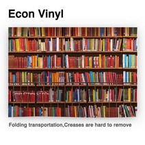 대형 배경지 스튜디오 쇼핑몰 촬영 책장 공부 도서관 졸업 학교 벽 사진 소품, 99.Econ Vinyl 180x270CM - SM2G