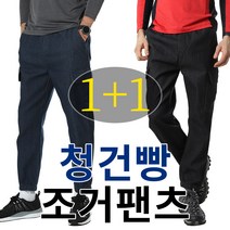 MOLEX 1+1 남성 가을 카고 건빵 청조거 스판 청바지 작업복 하의