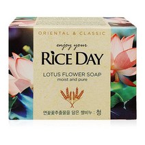 라이스데이 비누 100g 청 청소년 사춘기 얼굴 딥 모공 케어 여드름 클렌징 폼 세수 세안 비누 10대 20대 여자 친구 선물, 1, 본상품선택