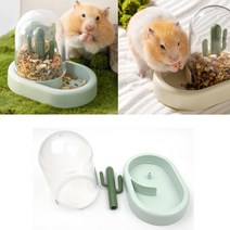 선인장 고슴도치 햄스터 급수기, 아이보리