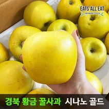 이츠올릿 경북 황금 꿀사과 시나노 골드 5kg 정품 중대과 13-15과 노란 스위트 사과 청송 밀양 얼음골, 상세페이지 참조