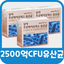 간편한 유아 어린이 수험생 직장인 주부 혼합 프로바이오틱스 대용량 유산균 포로바이오 프로바이오스틱