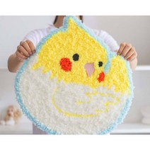 앵무새 러그 펀치니들 펀칭니들 프랑스 자수 diy 키트 패키지 재료 울 털실 집콕취미 집에서 할수있는 취미, A + 패키지 도구 포함