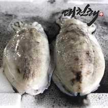 [인어교주해적단오징어] 대천해 손질 갑오징어 1kg(500g X 2팩)