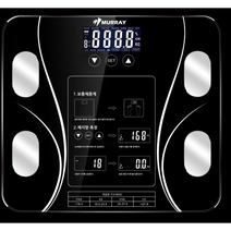 머레이 가정용 다기능 체지방 측정 체중계 DW-100