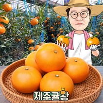 귤왕 농장 직배송 제주 하우스 천혜향 2kg 3kg 5kg 가정용 명절 설 선물세트, 08.천혜향 가정 대과3kg 8과내외