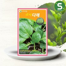 솔림텃밭몰 새싹다채씨앗 12g 새싹다채 새싹채소씨앗 비타민채, 단품