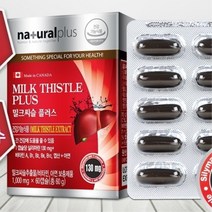 바쁜 동료 간 영양 보충용 제품 선물 밀크씨슬 플러스