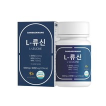 단백왕 L-류신 단백질 54g, 90정, 1개