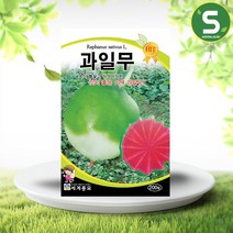 솔림텃밭몰 세계종묘 과일무씨앗 200립 이색 과일무 무씨앗 샐러드 생식용