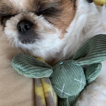 오가닉 강아지 애착인형 고양이 아기 토끼 신생아 순면, 그레이