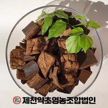 국산 두충 500g 제천약초영농조합 제천약초시장