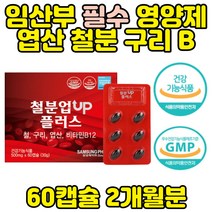 식약처인증 임산부 영양제 철분 엽산 구리 비타민B 임신 선물 준비 추천 헴철 비헴철 생성 태아 유지 대사 글루콘산 와이프 아내 출산 후 가임기 보조제 수유부 전 산모 초기 철분제