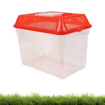 사각 레드 채집통 대형 곤충 팩맨 도마뱀 달팽이 사육장