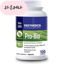 엔자이메디카 프로바이오틱 유산균 100억 CFU 120캡슐, 120개