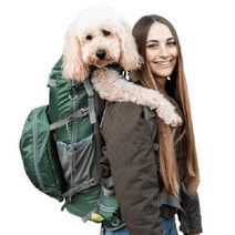 K9 스포츠 배낭 중소형 반려동물을 위한 Kolossus Dog 캐리어 백팩, 녹색