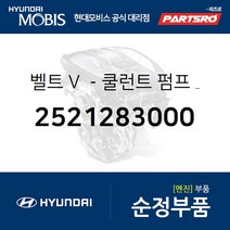 벨트 V-쿨런트 펌프 & 제너레이터 (2521283000) 11톤 트럭 뉴 슈퍼 에어로 시티 슈퍼 에어로 시티 특