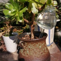 자동 드리퍼 장치 정원 용품 급수 스파이크 관개 시스템 꽃 식물 실내 실외용 피더, 10 Dripper Device10