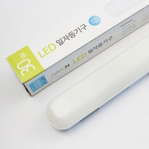데이온 LED 일자등 30W 주광색 6500K 형광등 사무실 상가 거실등 주택 인테리어 조명
