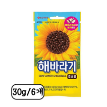 롯데제과 해바라기 초코볼 30g 6개