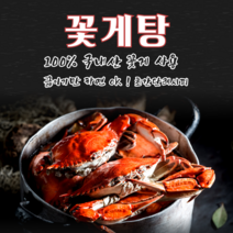 [입맛저격] 시원한 꽃게탕 2~3인분 /100% 국내산 꽃게 사용/ 꽃게 조개 미더덕 비법육수 모듬야채(서비스) / 혼술 캠핑 자취생 요리에 좋은 꽃게탕밀키트, 2-3인분(꽃게&해산물 비법육수 야채)