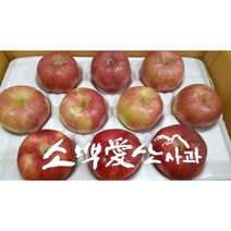 [소백애산사과] 경북영주 부사 소백사과영농 특대과/대중과/중소과/기스용 3kg/5kg/10kg, 중소과[5키로/17~20개]