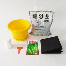 청로메인키우기 7종, 단품