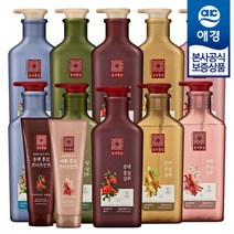 프리미엄 홍삼헤어케어 동의홍삼 샴푸 린스 트리트먼트 500ml x1개, 동백홍삼트리트먼트 250ml