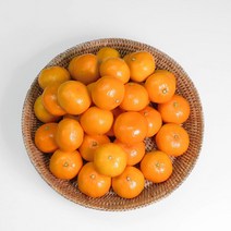 제주 고당도 타이벡감귤 밀감 5kg 로얄과(S-M)