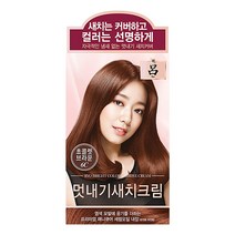 AP 려 우아채 멋내기 새치크림 6C초콜렛브라운/염색약